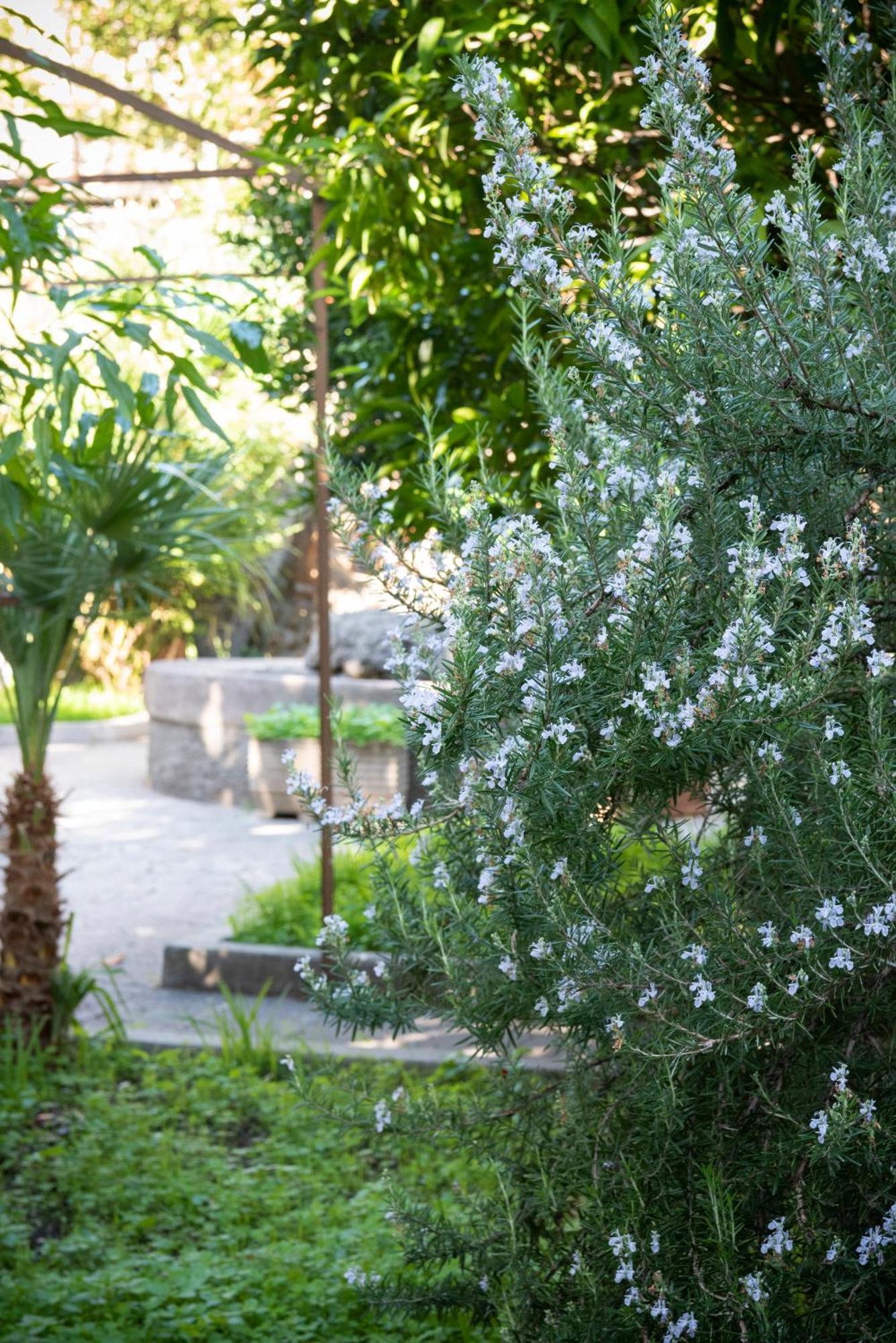 Residenza Leone XIII Ξενοδοχείο Ρώμη Εξωτερικό φωτογραφία